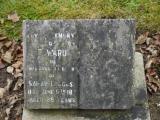 image of grave number 198998